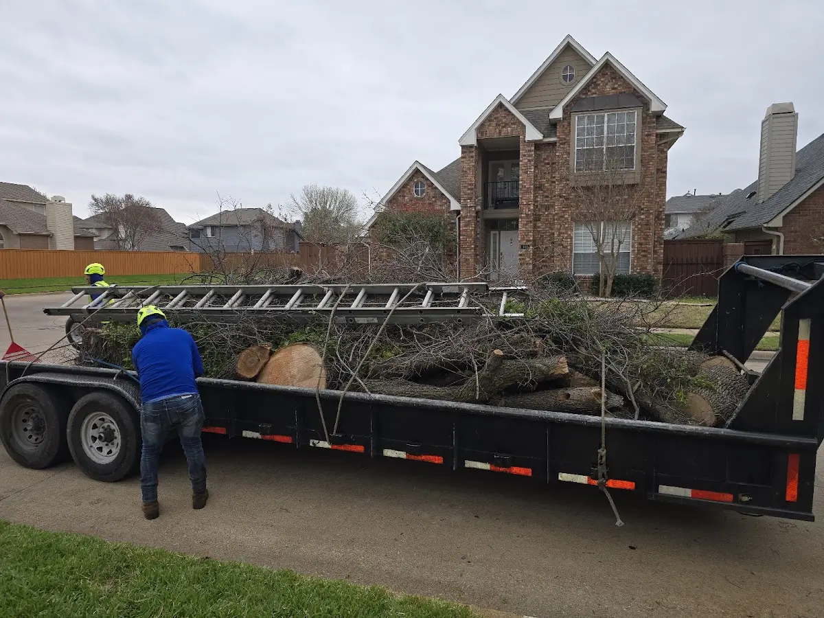 Expert Tree Pest Control with proper safety equipment in East Thetford